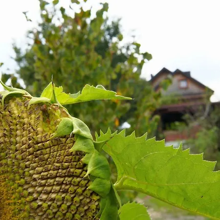 Farm stay Dom Pachnacy Zywica *