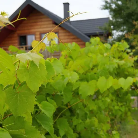 Farm stay Dom Pachnacy Zywica *