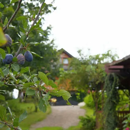 Dom Pachnacy Zywica Farm stay *