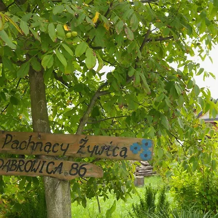 Dom Pachnacy Zywica *